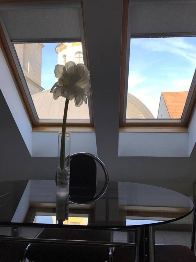 Hotel Vacek Pod Věží Hradec Králové Exterior foto